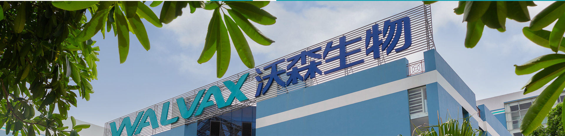 �Ļ�����